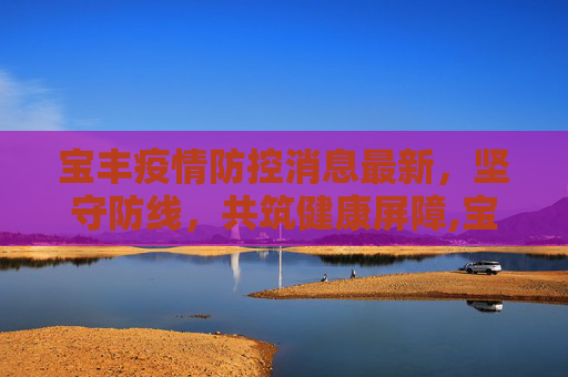 宝丰疫情防控消息最新，坚守防线，共筑健康屏障,宝丰疫情防控消息最新
