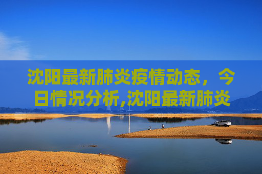 沈阳最新肺炎疫情动态，今日情况分析,沈阳最新肺炎疫情今天