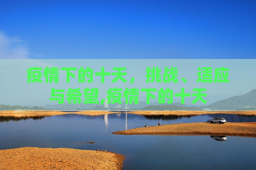 疫情下的十天，挑战、适应与希望,疫情下的十天
