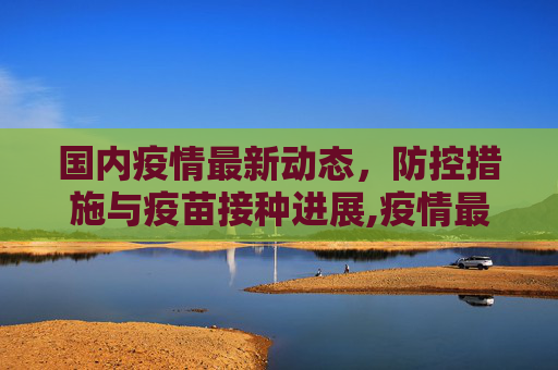 国内疫情最新动态，防控措施与疫苗接种进展,疫情最新报道国内